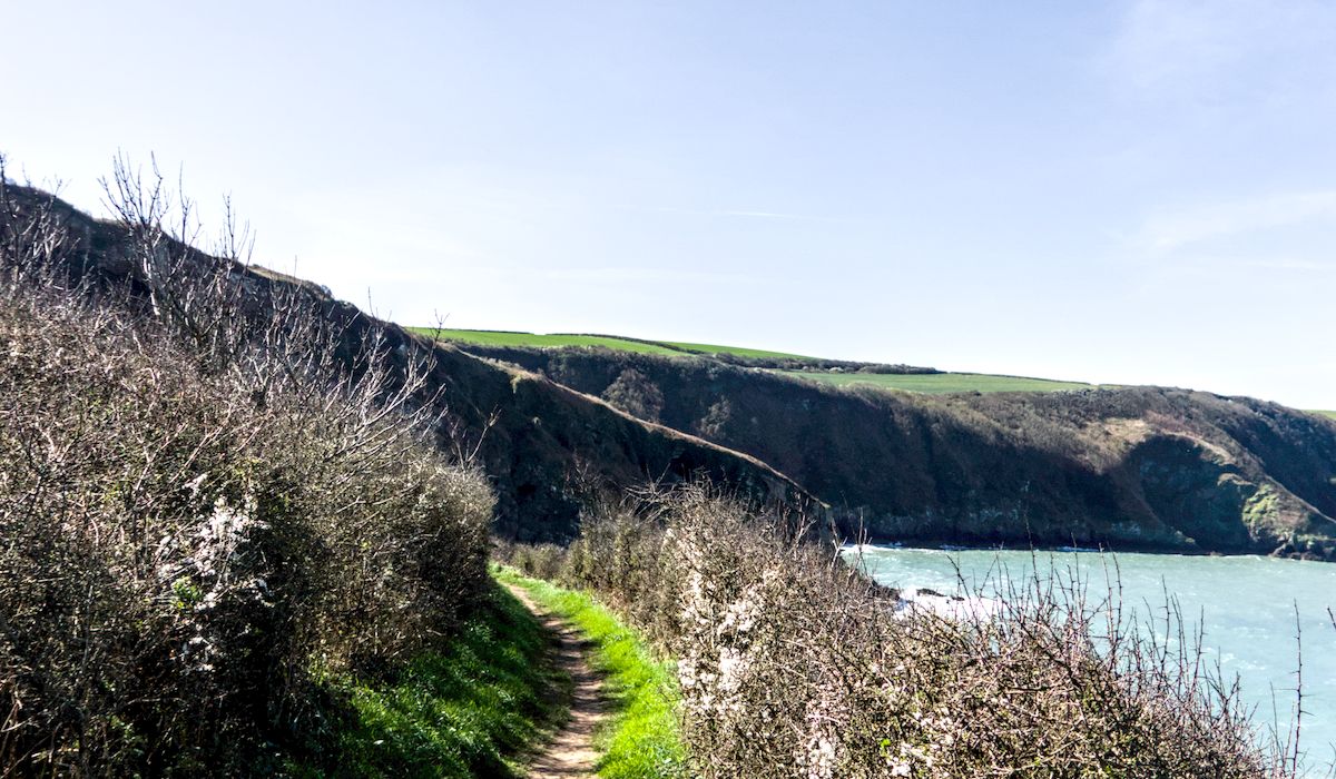 How to Read a Countryside Map for a Safe Day Hike